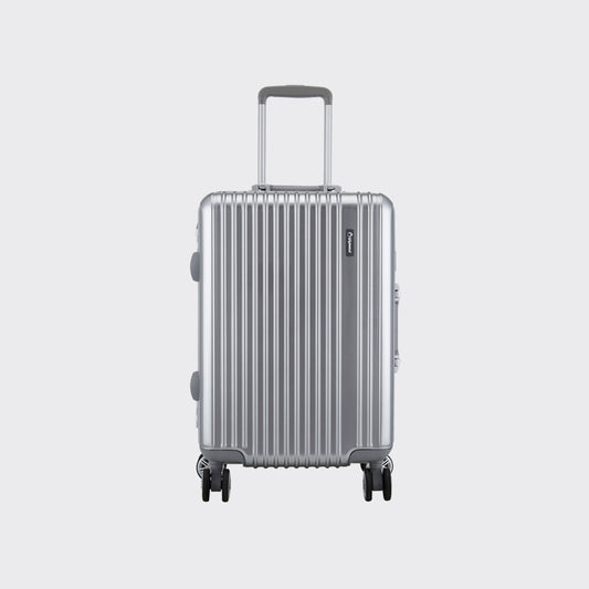 Diplomat TC-929 Silver  19” & 28” Carry-on & Check-in Luggage